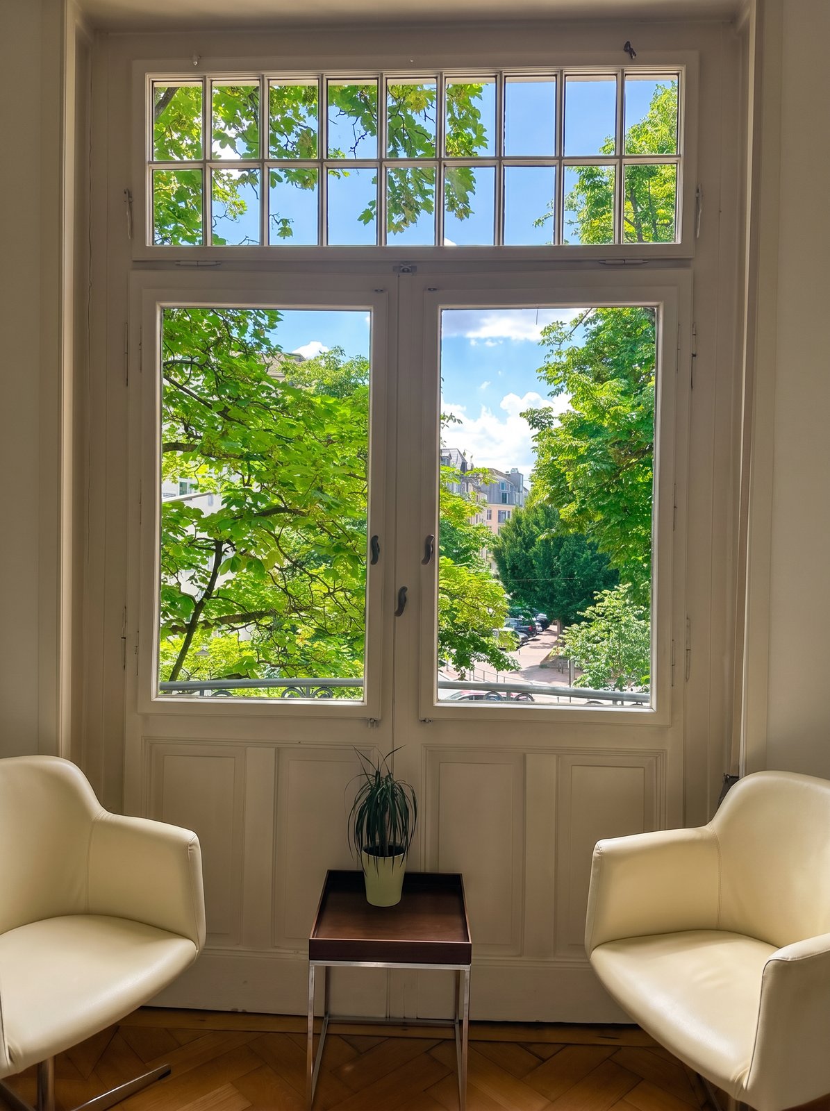 Altbaufenster der Praxis mit Blick ins Grüne